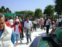 اسم الملف=500DSC02723.jpg
حجم الملف=50كيلوبايت
الأبعاد=500x375
تاريخ الإضافه=يناير 19, 2010 500DSC02723.jpg