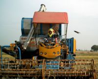 Dateiname : combinedharvester.jpg
Dateigröße : 47KB
Abmessungen : 586x480
hinzugefügt am : 16.Oktober 2015 combinedharvester.jpg